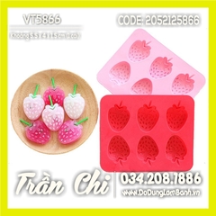 Khuôn silicone vỉ Trái DÂU TÂY 6c TRUNG (VT5866)