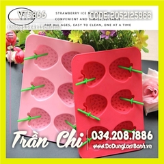 Khuôn silicone vỉ Trái DÂU TÂY 6c TRUNG (VT5866)