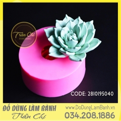 Khuôn silicone hoa Sen đá hồng xoắn