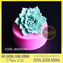 Khuôn silicone hoa Sen đá hồng xoắn