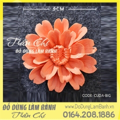 Cúc đất