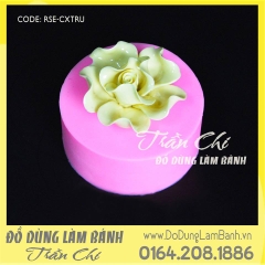 Hồng nhụy xoắn cánh xoăn - Lớn