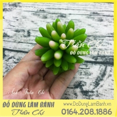 Khuôn silicone Sen đá chuỗi ngọc đứng