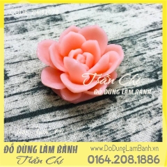 Khuôn silicone Sen đá HOA HỒNG trắng (F8349)