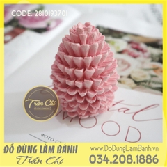 Khuôn silicone Trái thông 3D