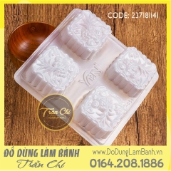 Khuôn nhựa RCTT: Hình cá 4c vuông (YT-058)