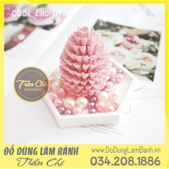 Khuôn silicone Trái thông 3D