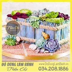 Khuôn silicone Set ốp gỗ, thừng, sò biển