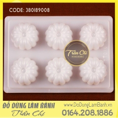 Khuôn nhựa hình hoa 6c nhỏ (YT016)