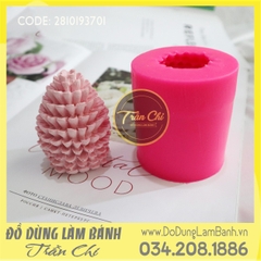 Khuôn silicone Trái thông 3D