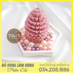 Khuôn silicone Trái thông 3D