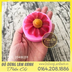 Khuôn silicone hoa DÃ QUỲ (F0743)