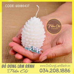 Khuôn silicone Trái thông 3D