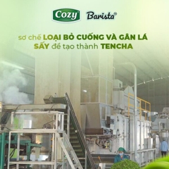 Bột Trà Xanh MATCHA COZY Barista - Gói 200gr