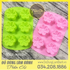 Khuôn silicone vỉ HOA MAI 6c trung