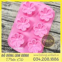 Khuôn silicone vỉ HOA MAI 6c trung