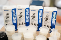 Sữa Tươi WESTERN Milk CN 3.8% - Hộp 1L