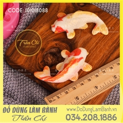 C01 - Khuôn silicone Cá KOI 1c nhỏ (2/4)