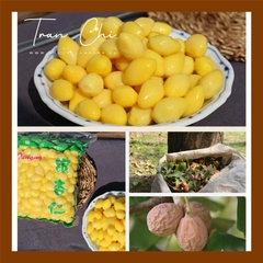 Bạch Quả tươi tách vỏ - 250GR (7/2)