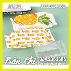 BD2201 - Túi ép BÁNH DỨA nền TRẮNG mix 4 mẫu Trái Dứa  - Xấp 95-100c (1/10)