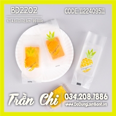 BD2202 - Túi ép BÁNH DỨA nền TRONG mix 4 mẫu Trái Dứa  - Xấp 95-100c (1/10)