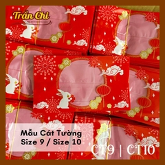 CT9 - Túi ÉP trung thu mẫu CÁT TƯỜNG Size 9 (125-150gr) (16x9x3cm) - Xấp 95-100c