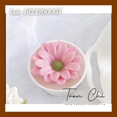 T07 - Khuôn silicone Hoa CÚC CHÂU PHI (9/9)