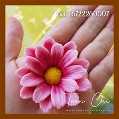 T07 - Khuôn silicone Hoa CÚC CHÂU PHI (9/9)