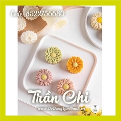 Khuôn ấn TTLX 50GR HOA khóa tay - 04 mặt CÚC HỌA MI 2022 (H50.8802)