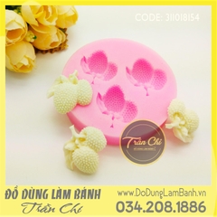 Khuôn silicone chùm trái Vải 3c