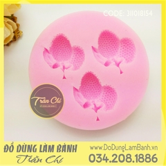 Khuôn silicone chùm trái Vải 3c