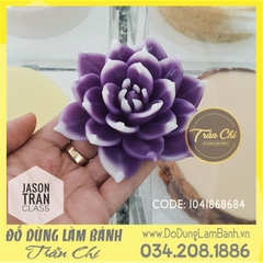Khuôn silicone hoa Sen đá hồng xoắn