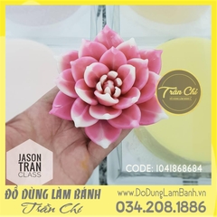 Khuôn silicone hoa Sen đá hồng xoắn