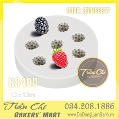Khuôn silicone TRÁI Phúc Bồn Tử nhí 8c (R8400)