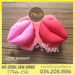 Khuôn silicone Đôi môi 2c nhỏ