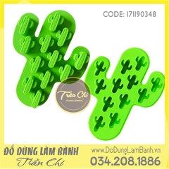 Khuôn silicone vỉ Xương rồng 12c