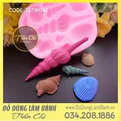 Khuôn silicone Sò ốc biển lớn