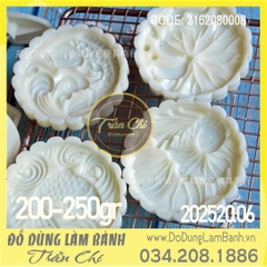 Khuôn TTLX 200-250gr - 04 mặt TRÒN (LÁ SEN, Cá 3 loại) (202520.06)