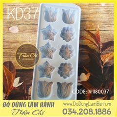 Khuôn nhựa VT - KD37 - Tulip 10c