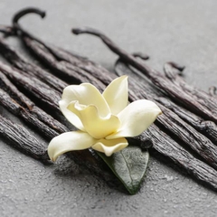 Bột Vani Vanilla Powder STFOOD - Gói 100gr