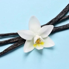 Bột Vani Vanilla Powder STFOOD - Gói 100gr