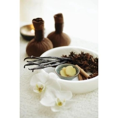 Bột Vani Vanilla Powder STFOOD - Gói 100gr