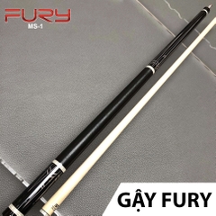Fury MS - 1