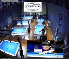 Bàn bi a trắng nhập khẩu