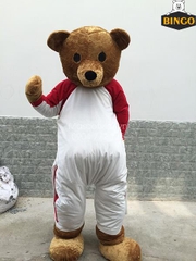 Mascot gấu