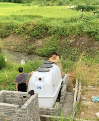Chăn nuôi tuần hoàn chất thải _ Mô hình bề vững của nền kinh tế