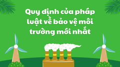 Cập nhật các văn bản quy định mới về môi trường thực hiện tháng 11 năm 2024