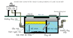 Thế nào là bể tách mỡ? Nguyên lý hoạt động, cấu tạo và bảng báo giá chi tiết năm 2021