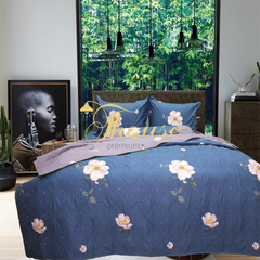 Bộ chăn ga gối drap giường cotton satin Hàn Quốc Julia 405