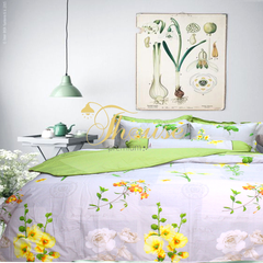 Bộ chăn ga gối drap giường màu trơn cotton satin Ai Cập Julia 547